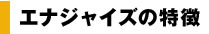 エナジャイズの特徴