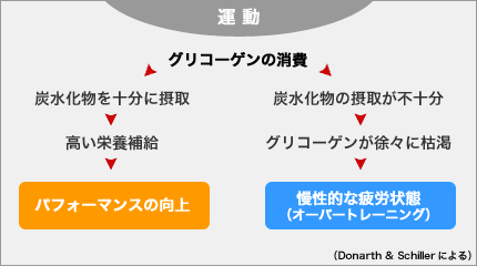 図：炭水化物の摂取が足りないと…